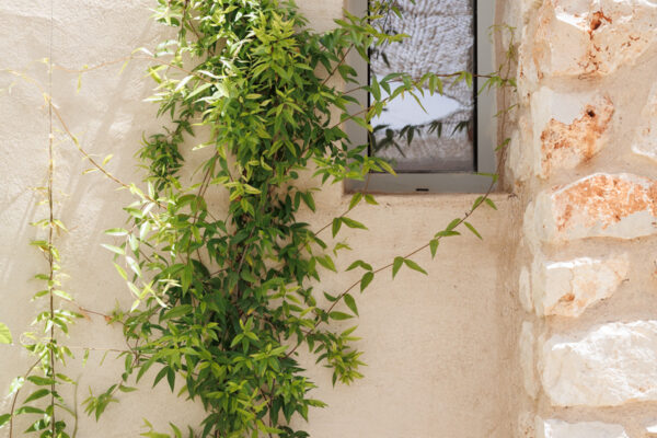 Fotografías Casa de piedra y barro ventana exterior